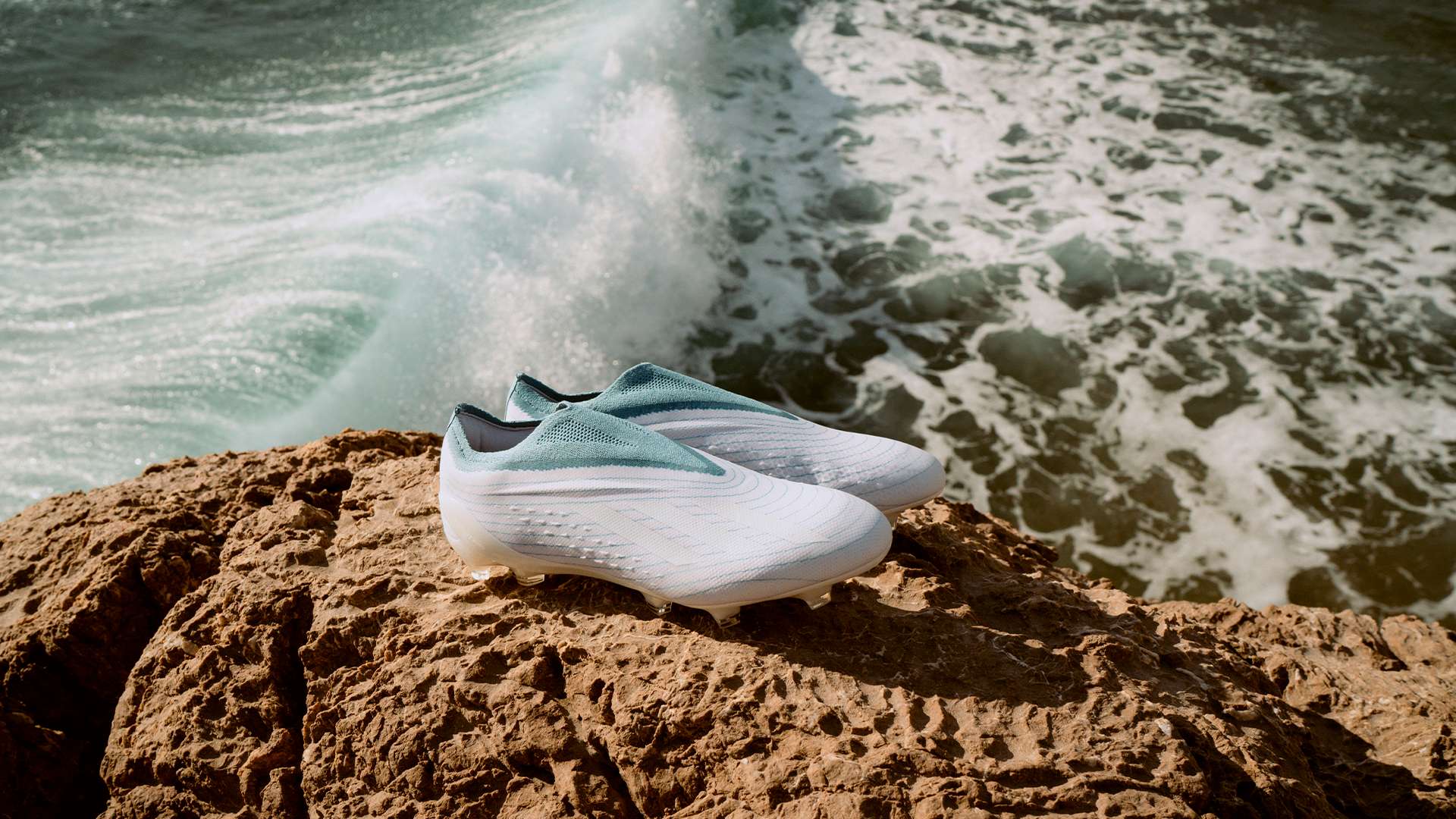 坎塞洛創造 坎塞洛創造