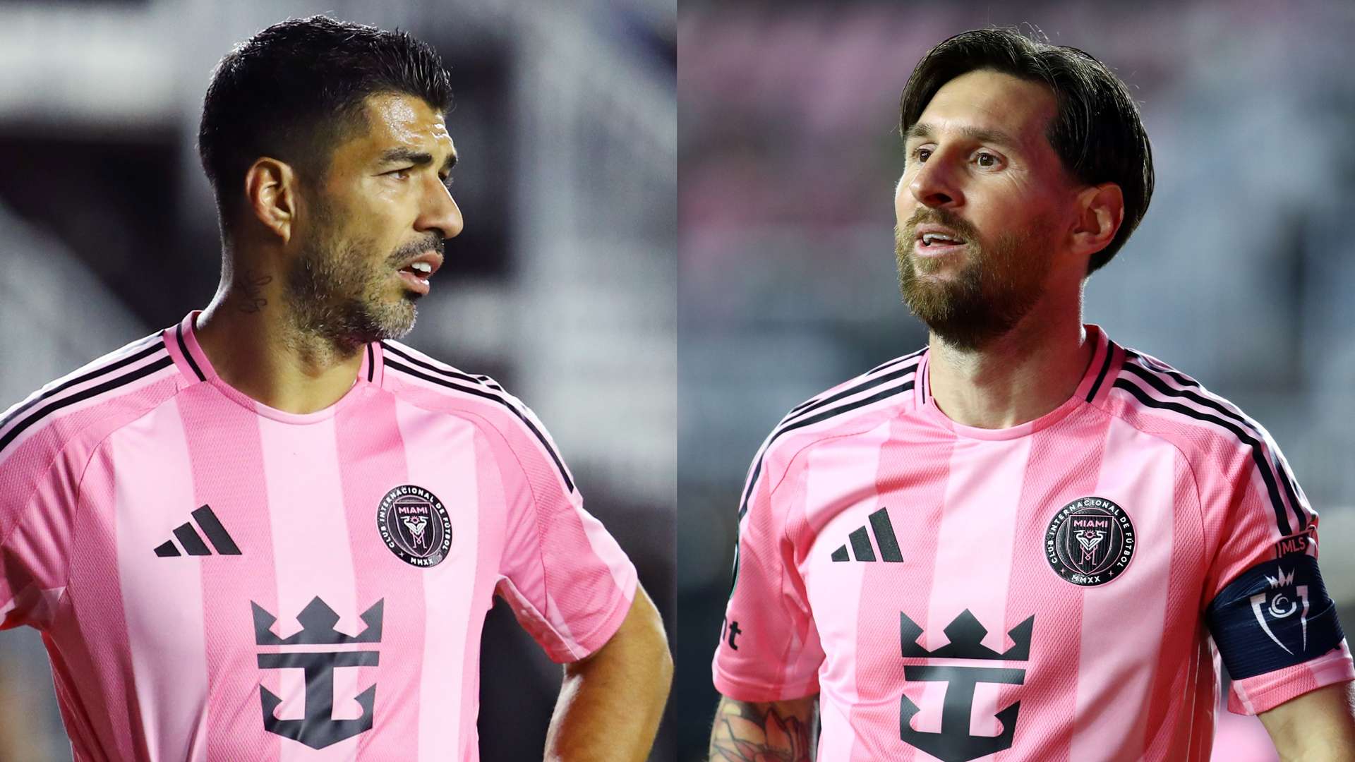 未来展望 未来展望