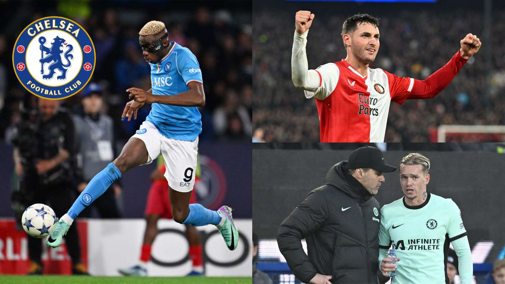 的表现尚未 的表现尚未